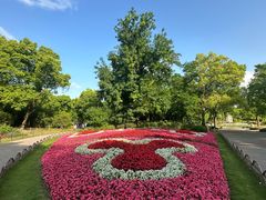 -上海共青森林公园