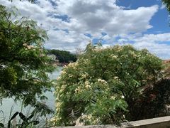-南诏风情岛