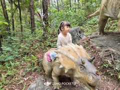 -佛冈森波拉度假区