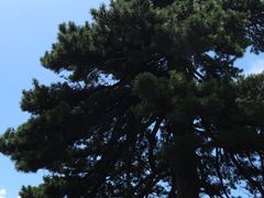 -武当山风景区