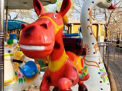 -朝阳公园游乐园