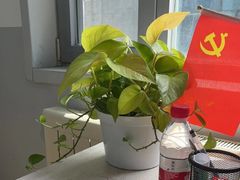 -北京华佳律师事务所(双井店)