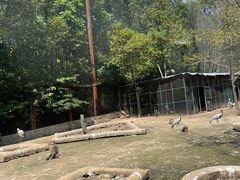 -哈尔滨北方森林动物园