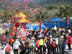 -天适樱花悠乐园