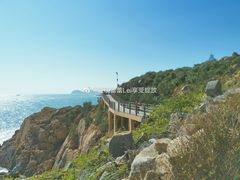 -广东惠东海龟国家级自然保护区