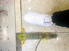 -蚝专家(北滘店)