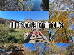 -三块石国家森林公园