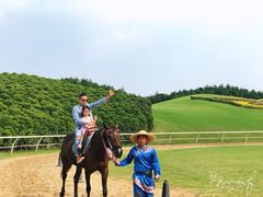 -迪茵湖田家舍生态农场