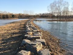 -大兴滨河森林公园