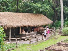 -四季酒店下午茶