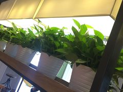 -肯德基(胜利店)