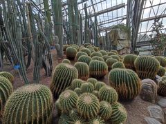 -南山植物园