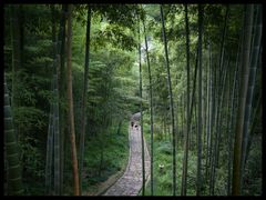 -径山寺