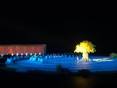 -鼎盛王朝康熙大典实景演出