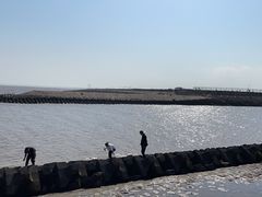 -南汇嘴观海公园