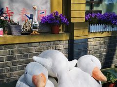 -三忘湖 SWANSEEN(柳荫公园店)