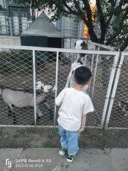-沈阳棋盘山绿地铂瑞酒店·宴会厅