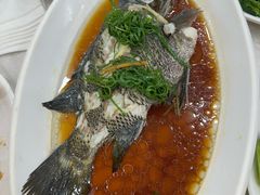 -锐记美食店·现捞海鲜(闸坡店)