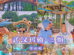 -武汉玛雅海滩水公园