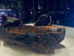 -春晖园度假酒店温泉