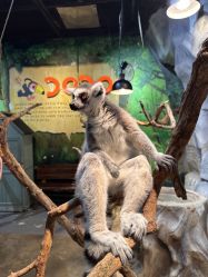 -Zoolung Zoolung动物主题公园(海信广场店)