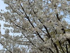 -苏州河梦清园环保主题公园