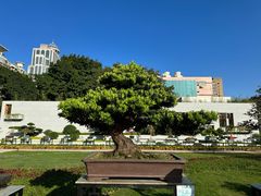 -广州文化公园