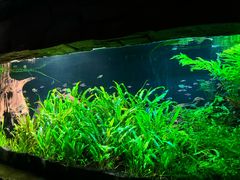 -上海海洋水族馆