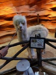 -酷嗒动物文化乐园(cutezoo西溪乐天城店)