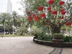 -万绿园