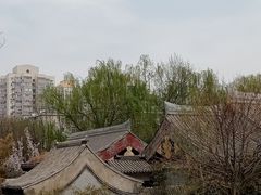 -元大都城垣遗址公园