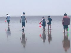 -碧海金沙