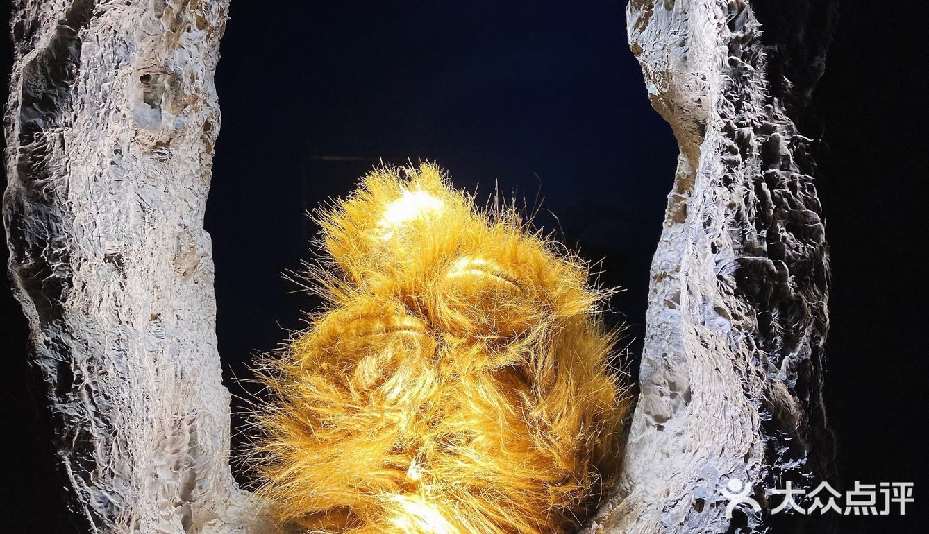 魔都新店|永康路上的神秘洞穴咖啡店☕