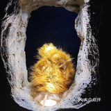 魔都新店|永康路上的神秘洞穴咖啡店☕