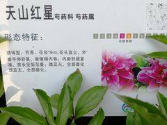 -仁和公园(顺义区)