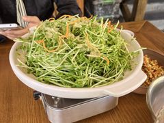 -后湖小院·乡野田园菜