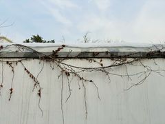 -北京鲁迅博物馆(北京新文化运动纪念馆鲁博馆区)