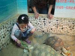 -上海大自然野生昆虫馆(东方明珠·爬宠昆虫探索中心)