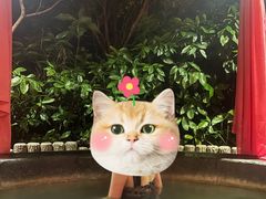 -扬州瘦西湖温泉