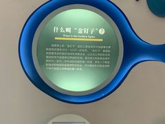 -金钉子远古世界景区