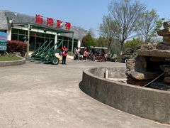 -上海海湾国家森林公园