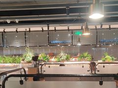 -金滏山烤肉·海鲜·火锅自助餐厅(襄阳万达店)