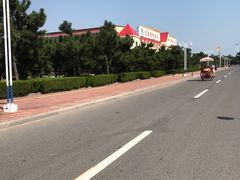 -日照海滨国家森林公园