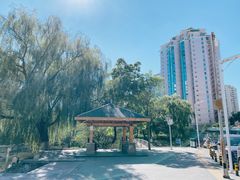 -红京鱼(西坝河店)