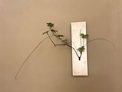 -隐溪茶馆(静安寺店)