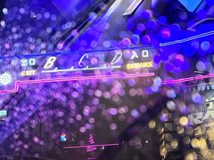 -枫花园汽车电影院(朝阳公园店)