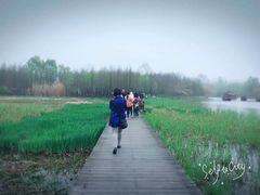 -溱湖国家湿地公园