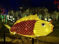 -河北村民俗体验园