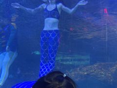 -沙沙哗啦海洋馆(华宇百花谷店)