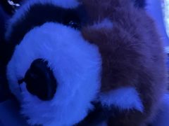 -泉城欧乐堡海洋极地世界